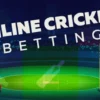 Cricket Betting in India: A Complete Guide for Beginners
