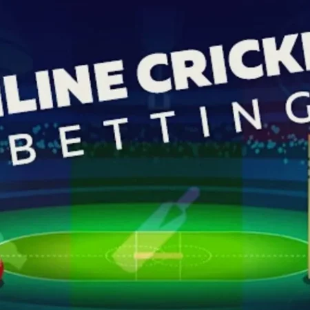 Cricket Betting in India: A Complete Guide for Beginners