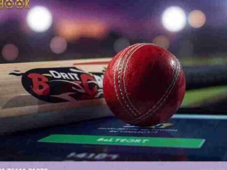 How Live Cricket Betting Works in India During Matches