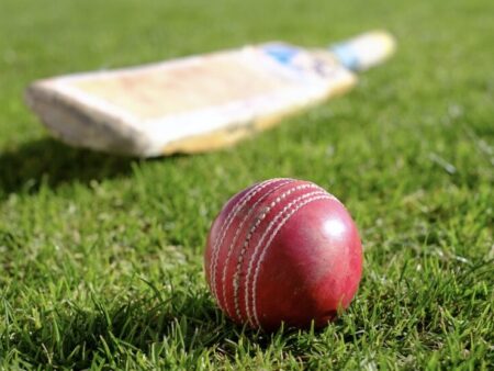 The “Next Ball” Mindset: A New Way to Look at Cricket Betting in India