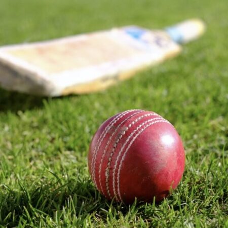 The “Next Ball” Mindset: A New Way to Look at Cricket Betting in India