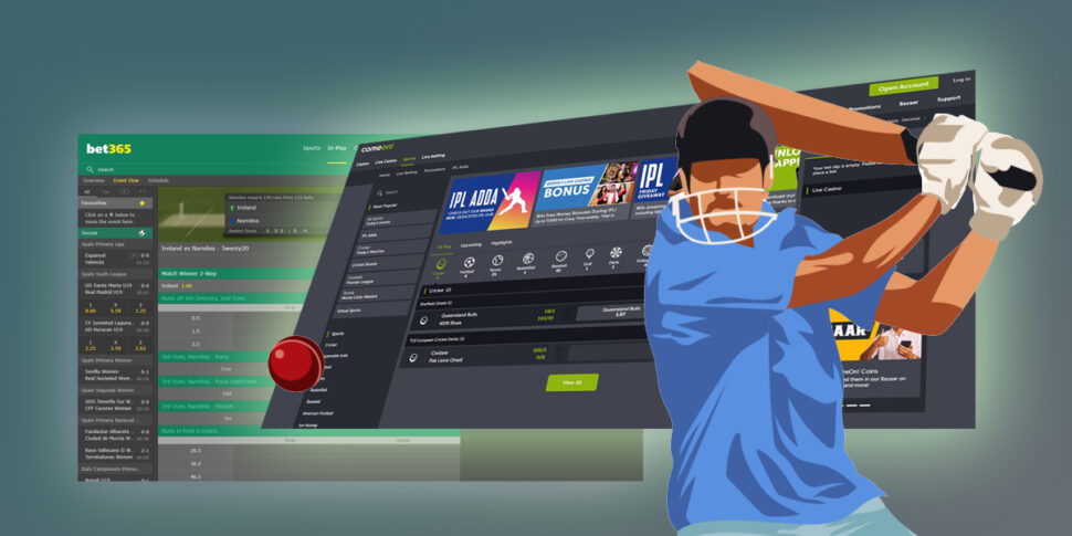 cricket betting in 970x485 1